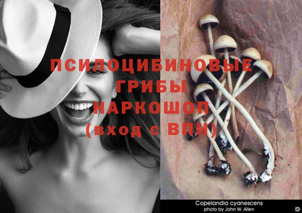 MDMA Premium VHQ Алексин
